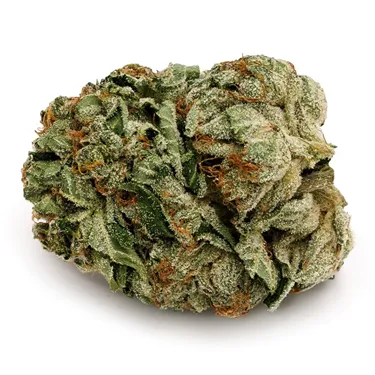 BC Sourdough 28 gram indica whole flower by Pure Sunfarms